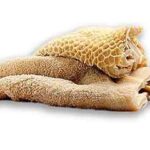 سیرابی گوسفندی